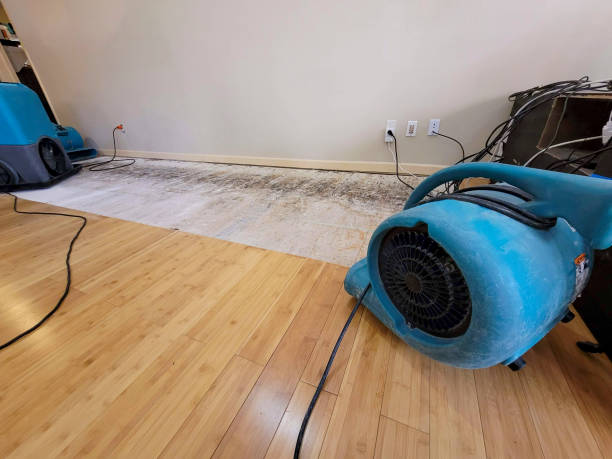 Professional Water Extraction technician working in Ripley, OH